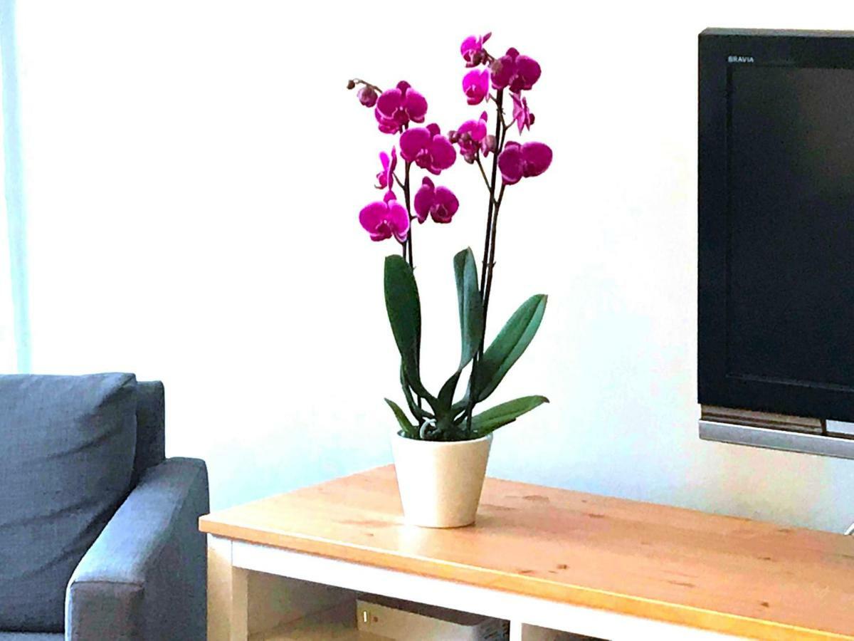 Sopot Apartment Luaran gambar